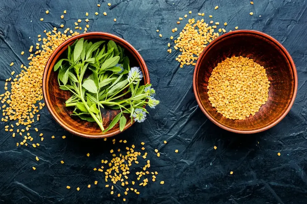 Methi (Trigonella foenum-graecum) in women's wellness: a traditional herbal perspective
